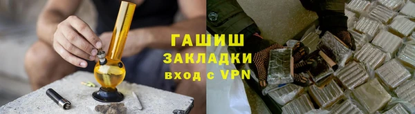 шишки Арсеньев