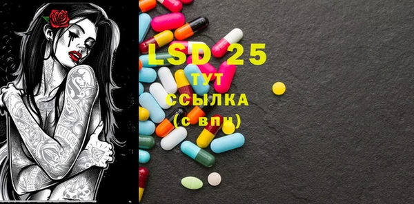 индика Лагань