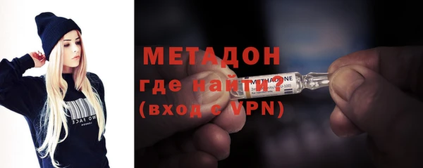 шишки Арсеньев