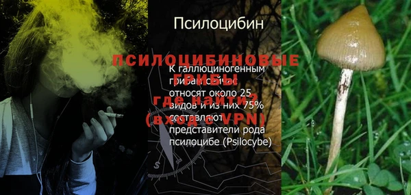 экстази Ладушкин