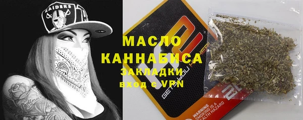 шишки Арсеньев