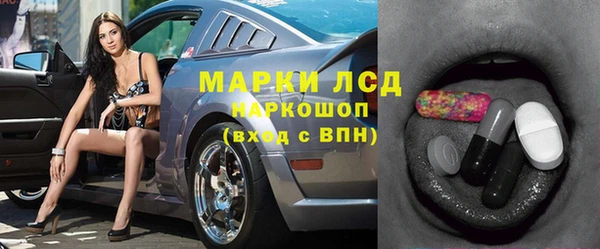 шишки Арсеньев
