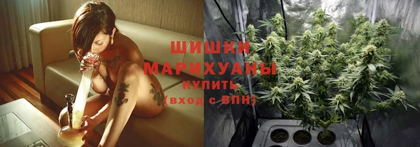 шишки Арсеньев