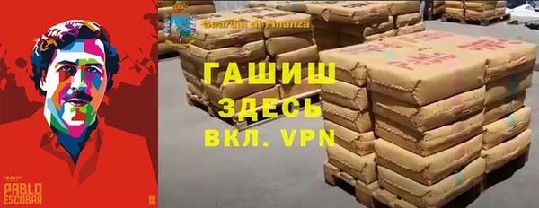 шишки Арсеньев