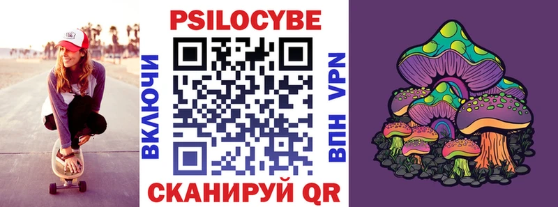 Псилоцибиновые грибы Psilocybe  гидра маркетплейс  Туймазы 